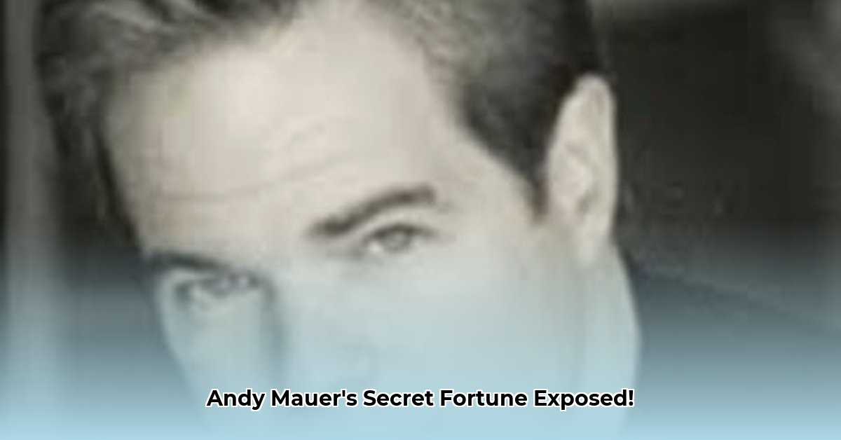 andy-mauer-net-worth